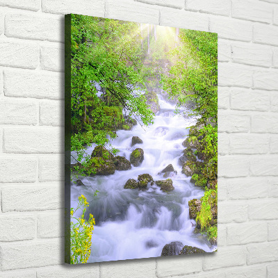 Verticale foto op canvas Bergstroom