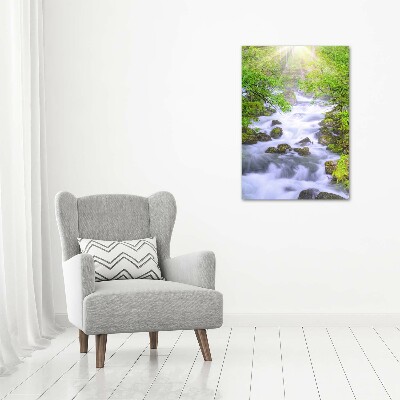 Verticale foto op canvas Bergstroom