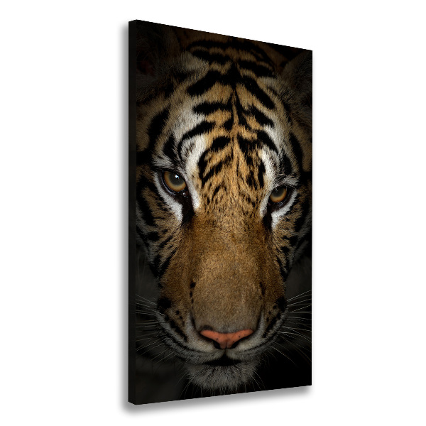 Nowoczesny fotoobraz canvas na ramie pionowy Tygrys