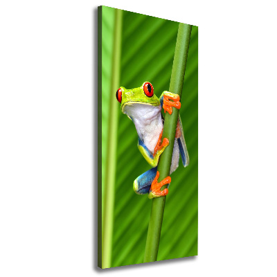 Verticale canvasfoto Europese boomkikker