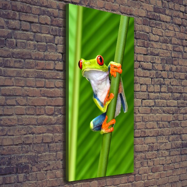 Foto obraz na płótnie pionowy Rzekotka drzewna