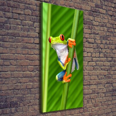 Foto obraz na płótnie pionowy Rzekotka drzewna