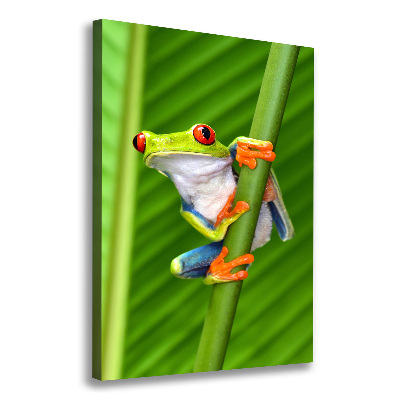 Foto obraz na płótnie pionowy Rzekotka drzewna