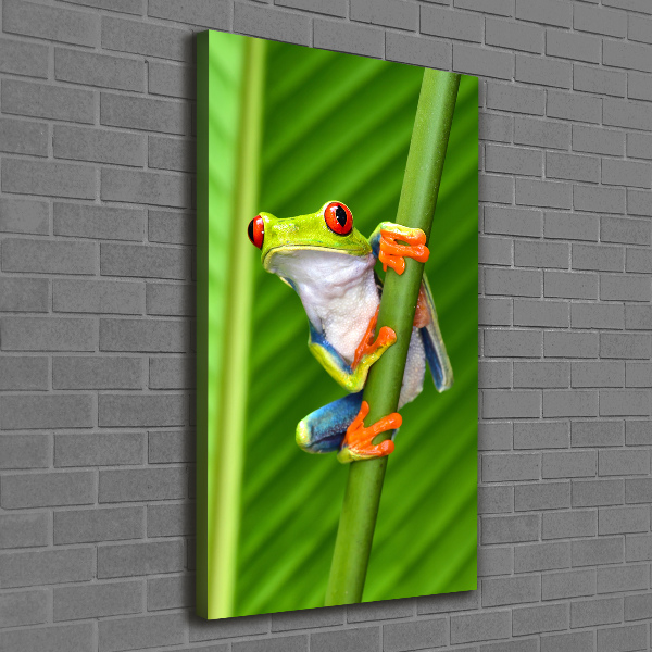 Verticale canvasfoto Europese boomkikker