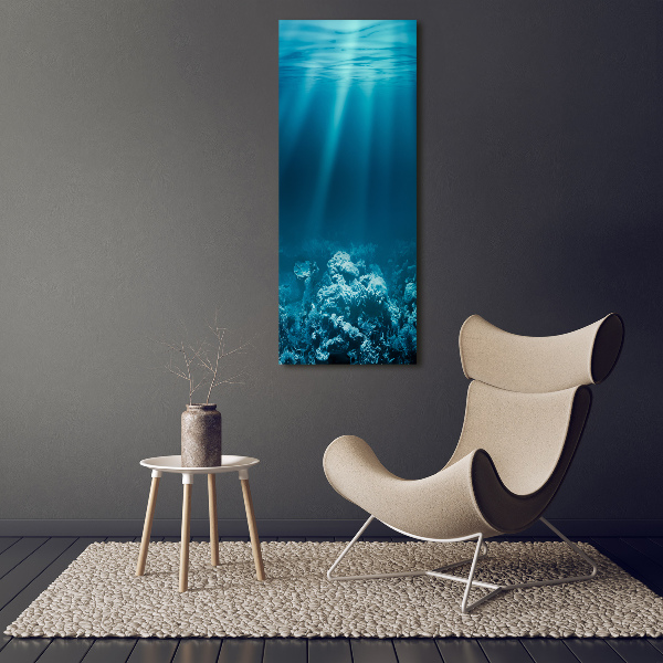 Verticale foto op canvas Onderwaterwereld