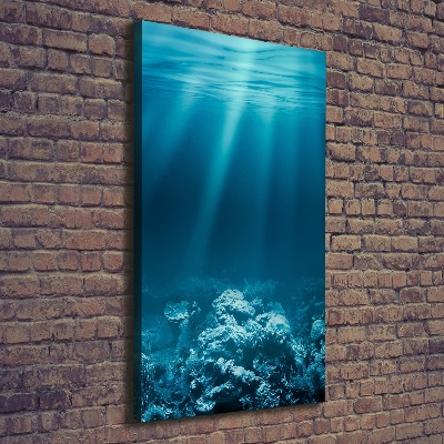Verticale foto op canvas Onderwaterwereld