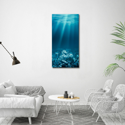 Verticale foto op canvas Onderwaterwereld