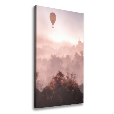 Foto obraz na płótnie pionowy Latający balon las