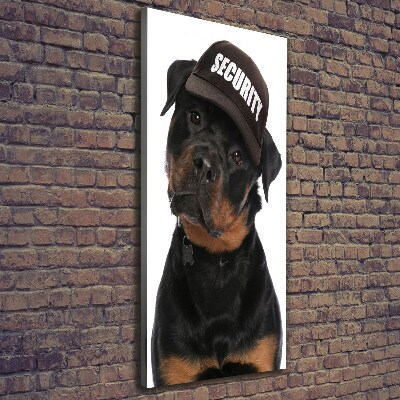 Foto obraz na płótnie pionowy Rottweiler w czapce