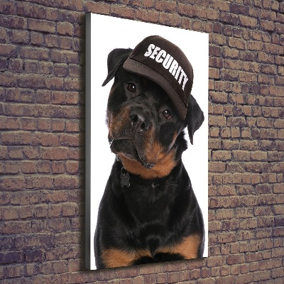 Foto obraz na płótnie pionowy Rottweiler w czapce