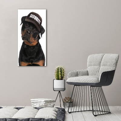 Verticale foto op canvas Rottweiler met pet