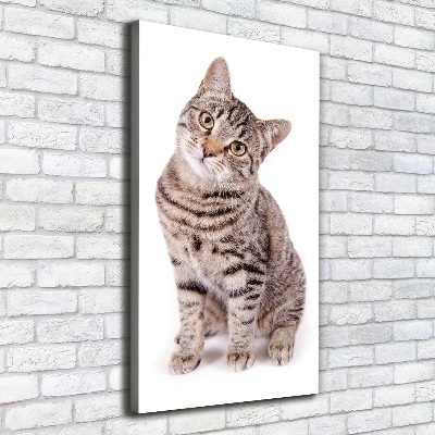 Verticale canvasfoto Kat