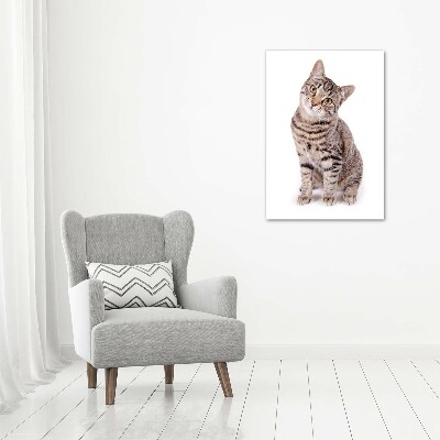 Verticale canvasfoto Kat