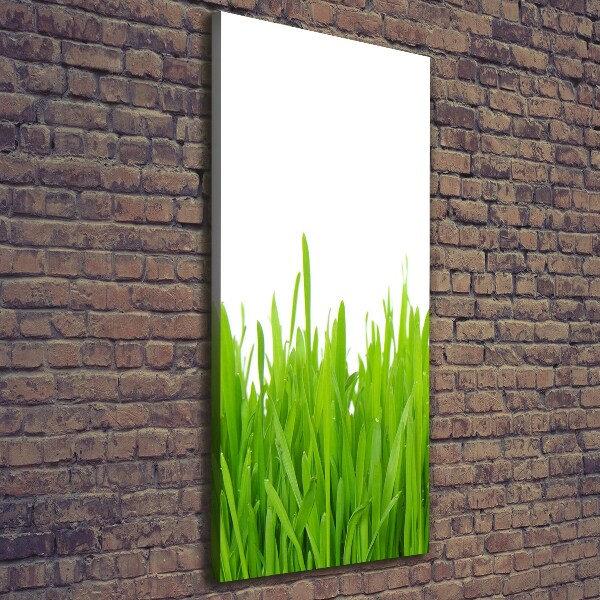 Verticale canvasfoto Groen gras