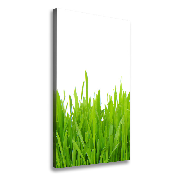 Verticale canvasfoto Groen gras