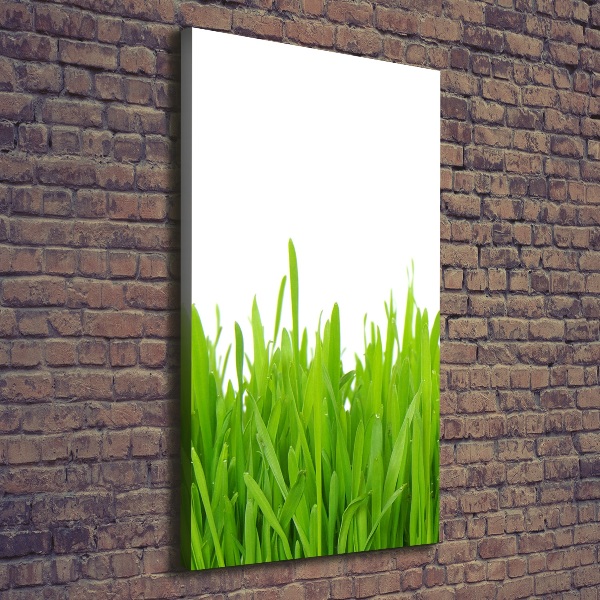 Verticale canvasfoto Groen gras