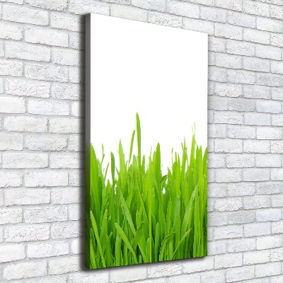 Verticale canvasfoto Groen gras