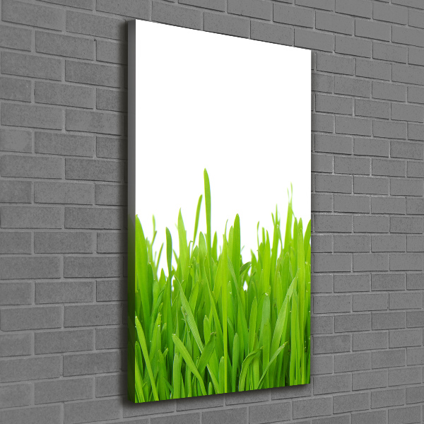 Verticale canvasfoto Groen gras