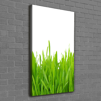 Verticale canvasfoto Groen gras