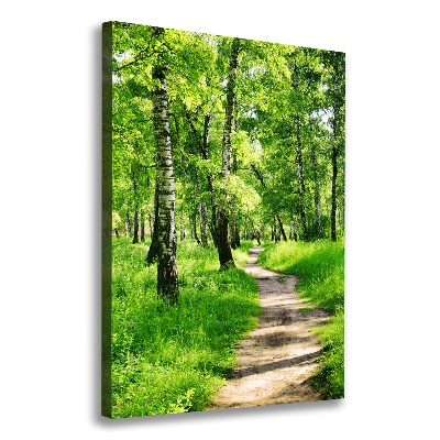 Foto obraz canvas pionowy Las brzozowy