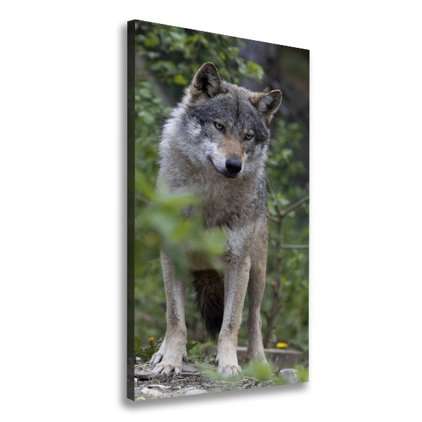 Verticaal canvasschilderij Wolf in het bos