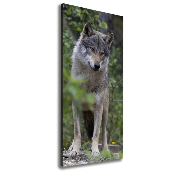 Verticaal canvasschilderij Wolf in het bos