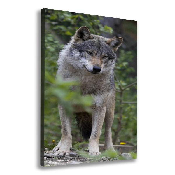 Verticaal canvasschilderij Wolf in het bos