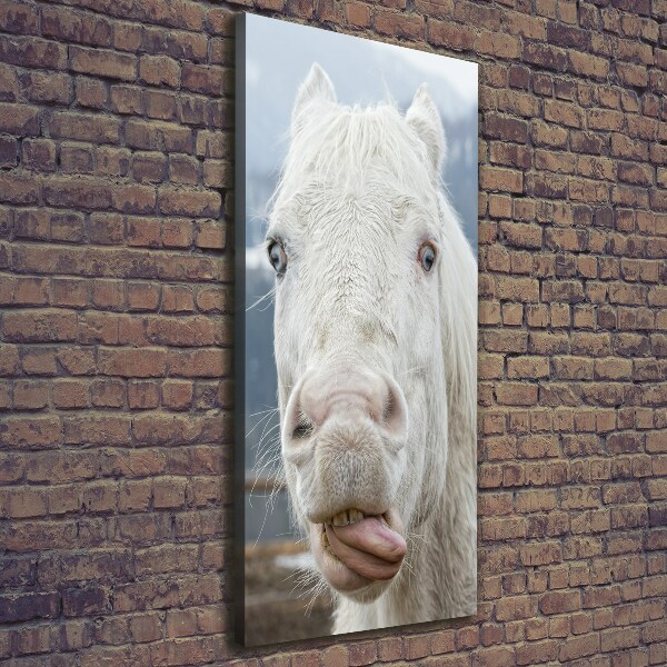 Verticaal schilderij op canvas Gek wit paard
