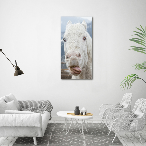 Verticaal schilderij op canvas Gek wit paard