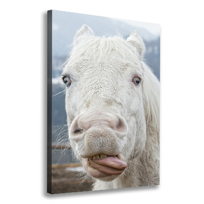 Verticaal schilderij op canvas Gek wit paard