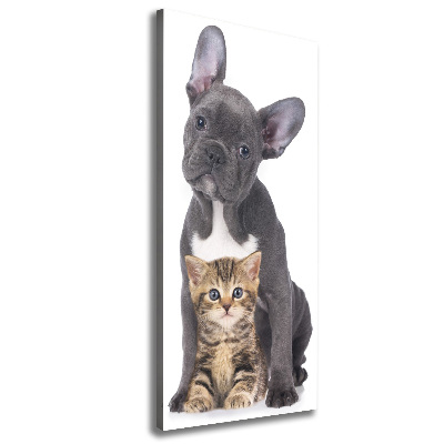 Verticale foto op canvas Hond en kat