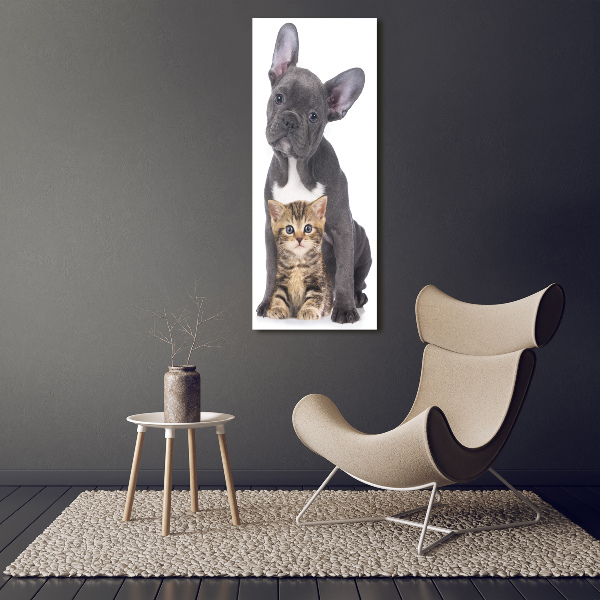 Verticale foto op canvas Hond en kat