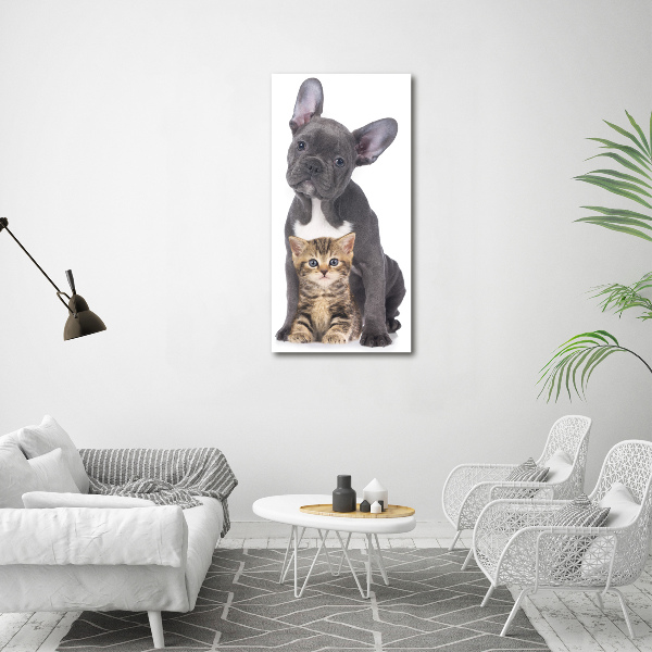 Verticale foto op canvas Hond en kat