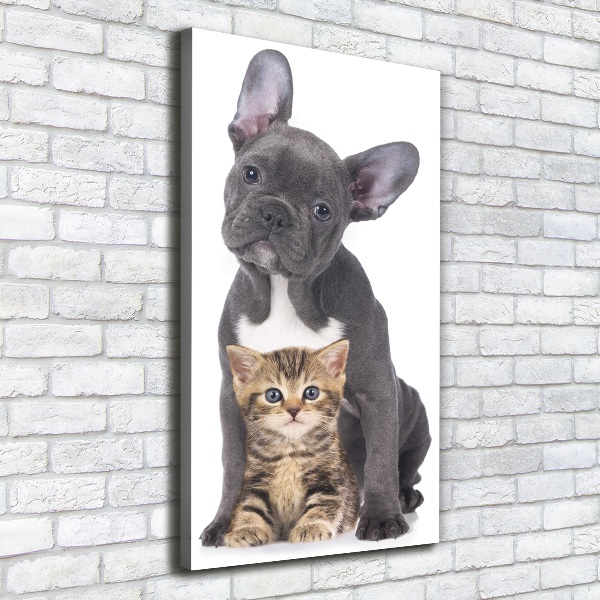 Verticale foto op canvas Hond en kat