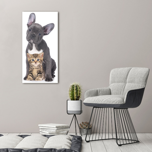 Verticale foto op canvas Hond en kat