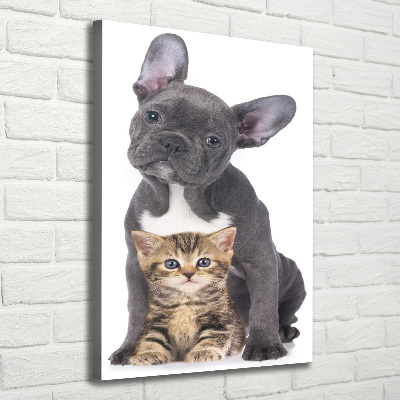 Verticale foto op canvas Hond en kat