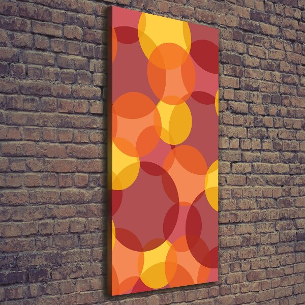 Verticaal schilderij op canvas Kleurrijke cirkels