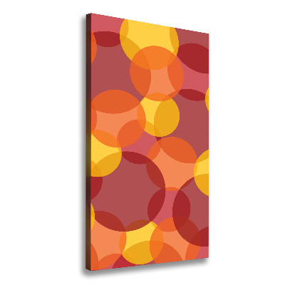 Foto-obraz canvas na ramie Kolorowe kółka