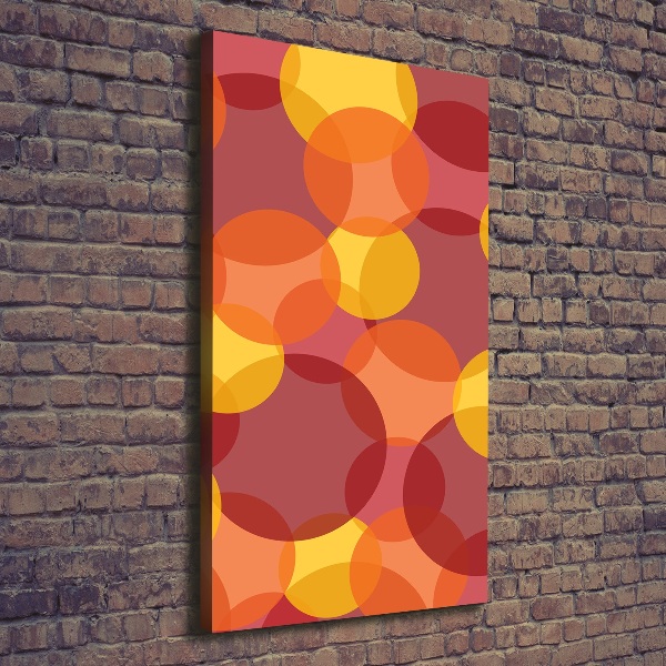 Foto-obraz canvas na ramie Kolorowe kółka