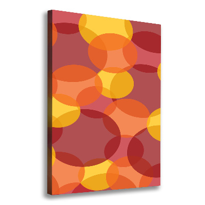 Foto-obraz canvas na ramie Kolorowe kółka