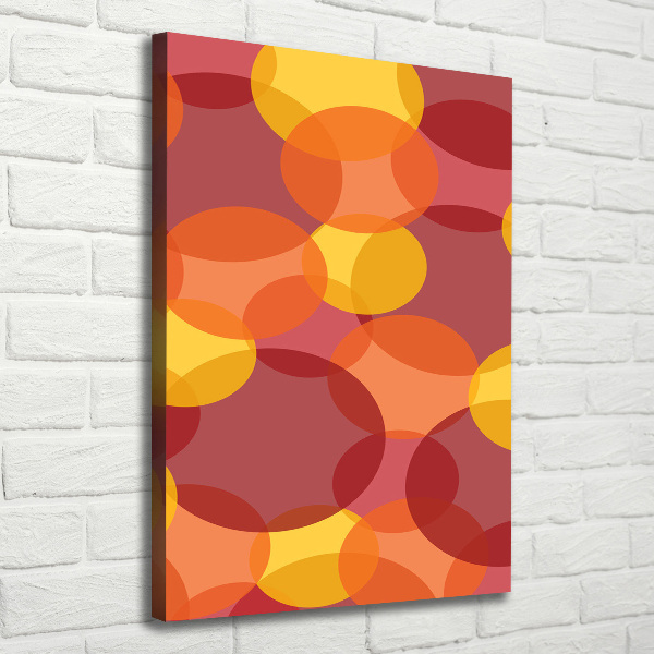 Verticaal schilderij op canvas Kleurrijke cirkels