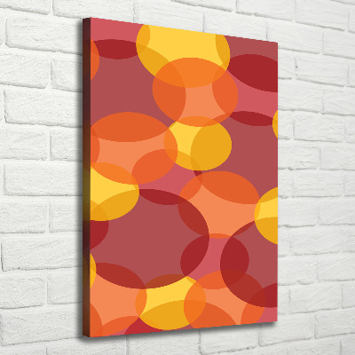 Verticaal schilderij op canvas Kleurrijke cirkels
