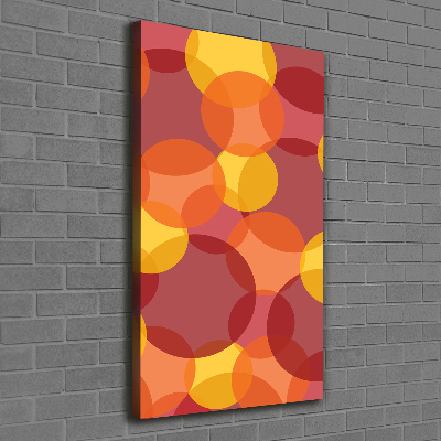 Foto-obraz canvas na ramie Kolorowe kółka