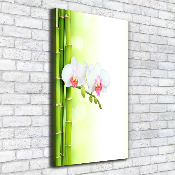 Verticale foto op canvas Orchidee en bamboe