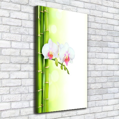 Verticale foto op canvas Orchidee en bamboe