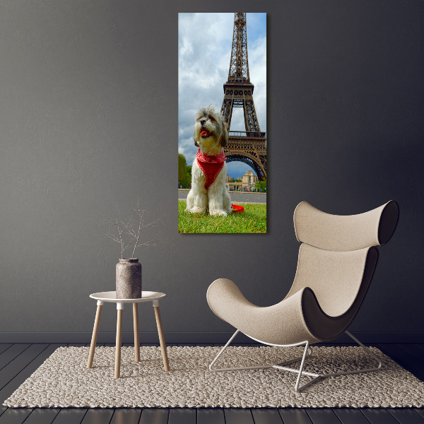 Verticaal canvasschilderij Een hond in Parijs