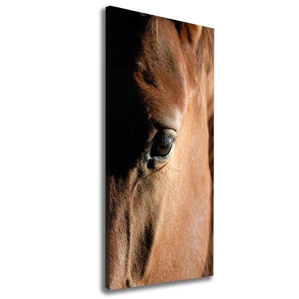 Verticaal schilderij op canvas Paard