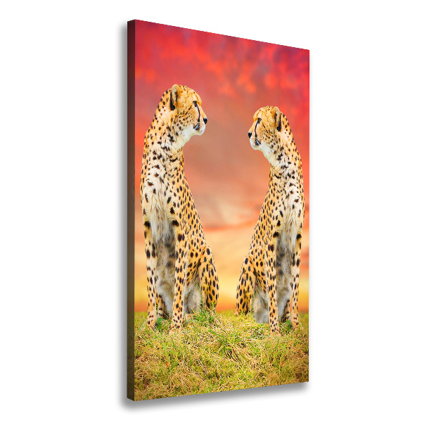 Verticale foto op canvas Twee cheetahs