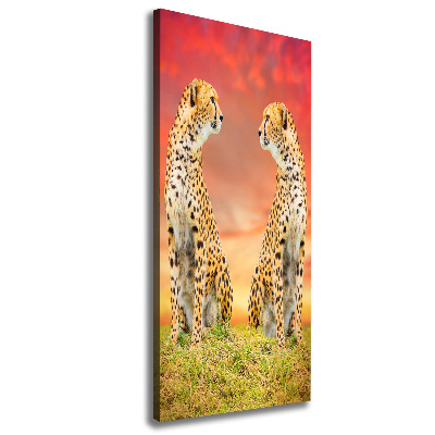 Verticale foto op canvas Twee cheetahs