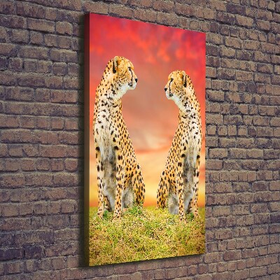 Verticale foto op canvas Twee cheetahs